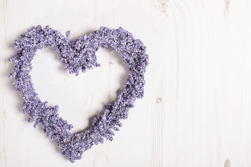 Fresh lavender in a heart shape design